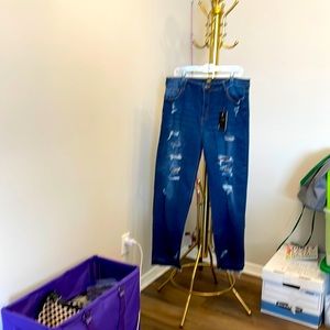 L & B brand distressed jeans, NWT, Plus size 18